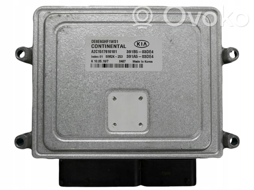 KIA Niro Engine control unit/module 