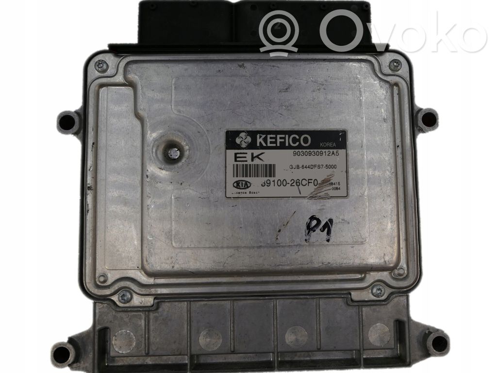 KIA Rio Engine control unit/module 