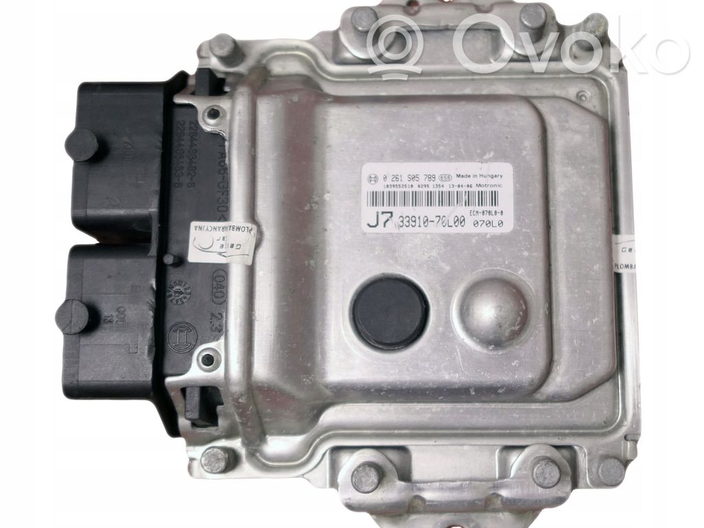 Engine control unit/module   0261S05789,3391070L00