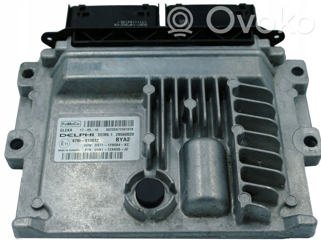 Ford Focus Engine control unit/module 