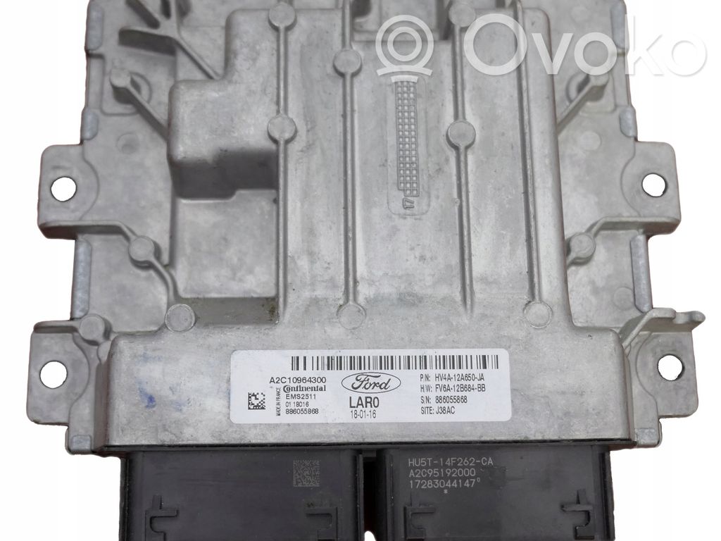Ford Focus Engine control unit/module 