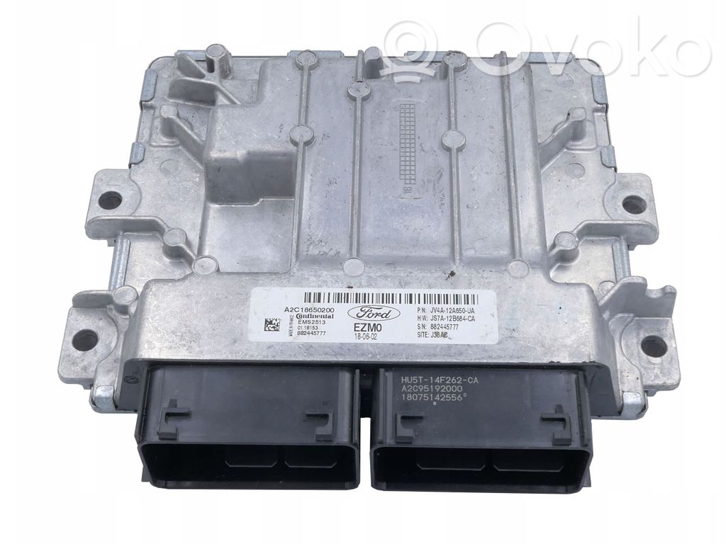 Ford Focus Engine control unit/module 