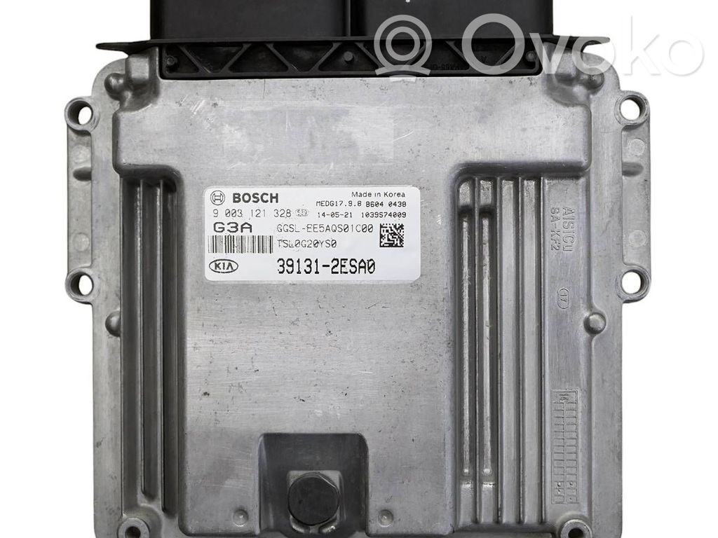 Sterownik / Moduł ECU   9003121328,391312ESA0,1039S74009