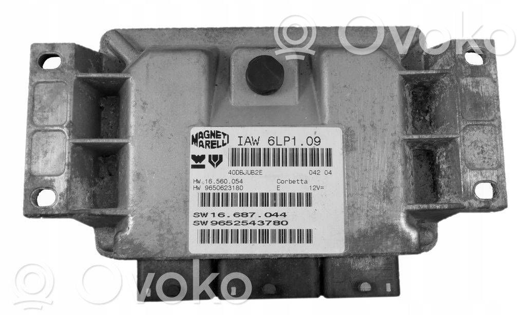 Peugeot 206 Engine control unit/module 
