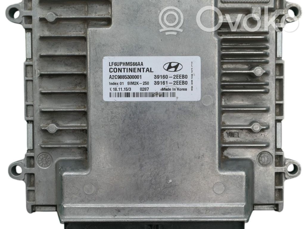 Engine control unit/module ECU   391602EEB0,A2C9885300001,INDEX01