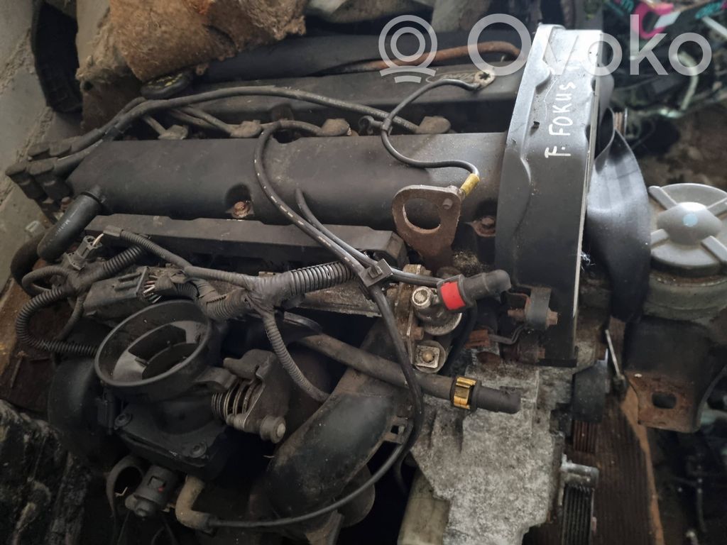 Motor