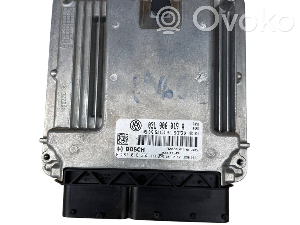 Seat Exeo (3R) Engine control unit/module 