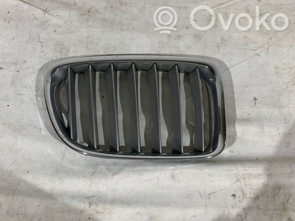 BMW X1 E84 ACC Distronic radar sensor grill/trim 