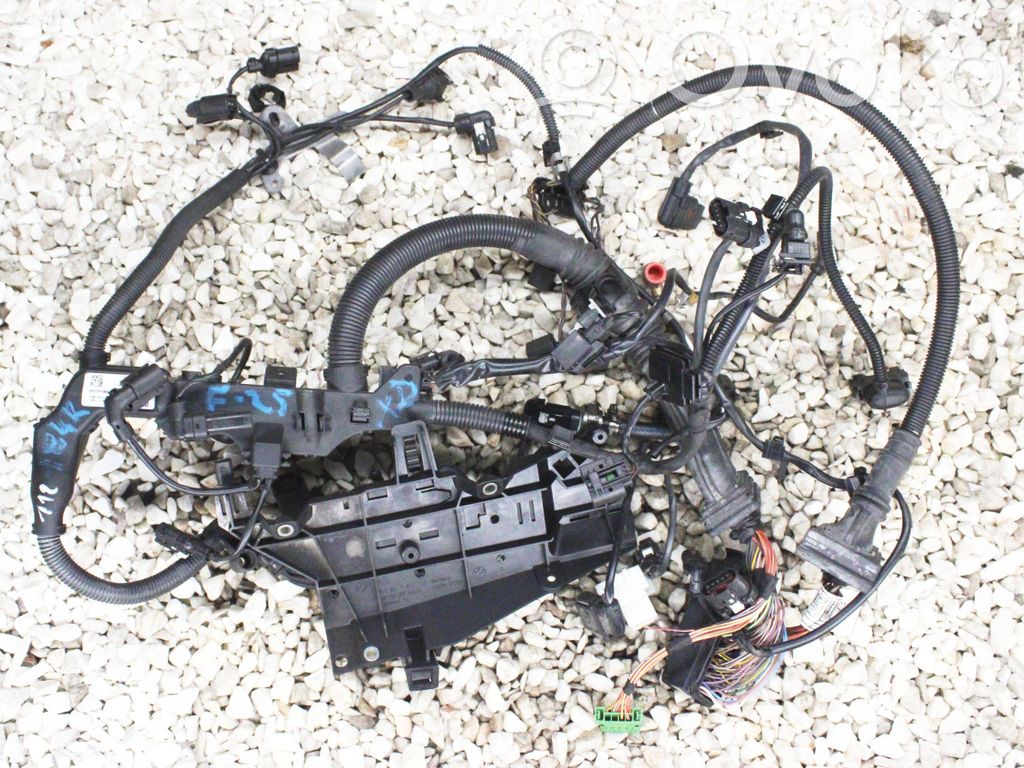 BMW X3 F25 Cablaj motor 