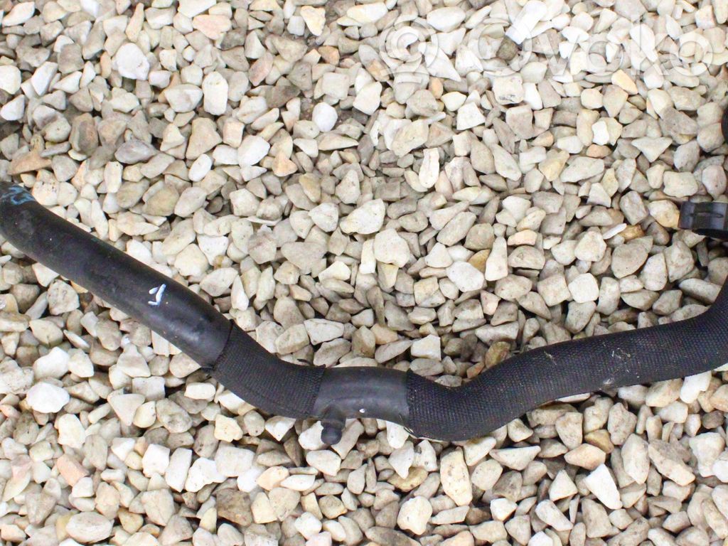 Engine coolant pipe/hose   9172939