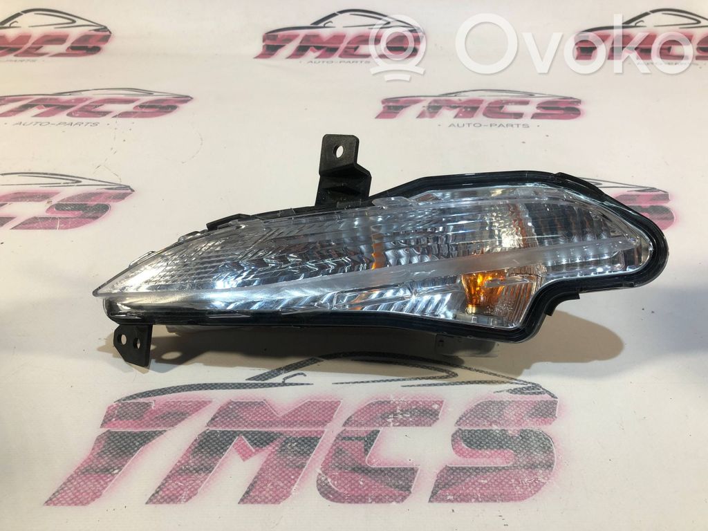 Peugeot 308 Frontblinker 