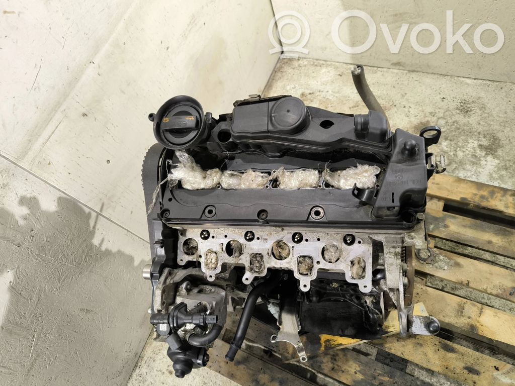 Volkswagen Golf V Motor 