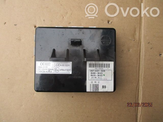 Hyundai Sonata Other control units/modules 
