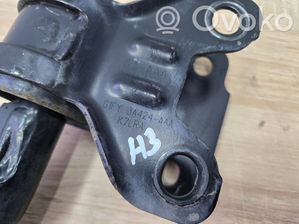 Dakša   G1FY3A424AAA