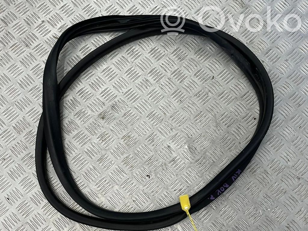 Renault Kangoo III Front door rubber seal 