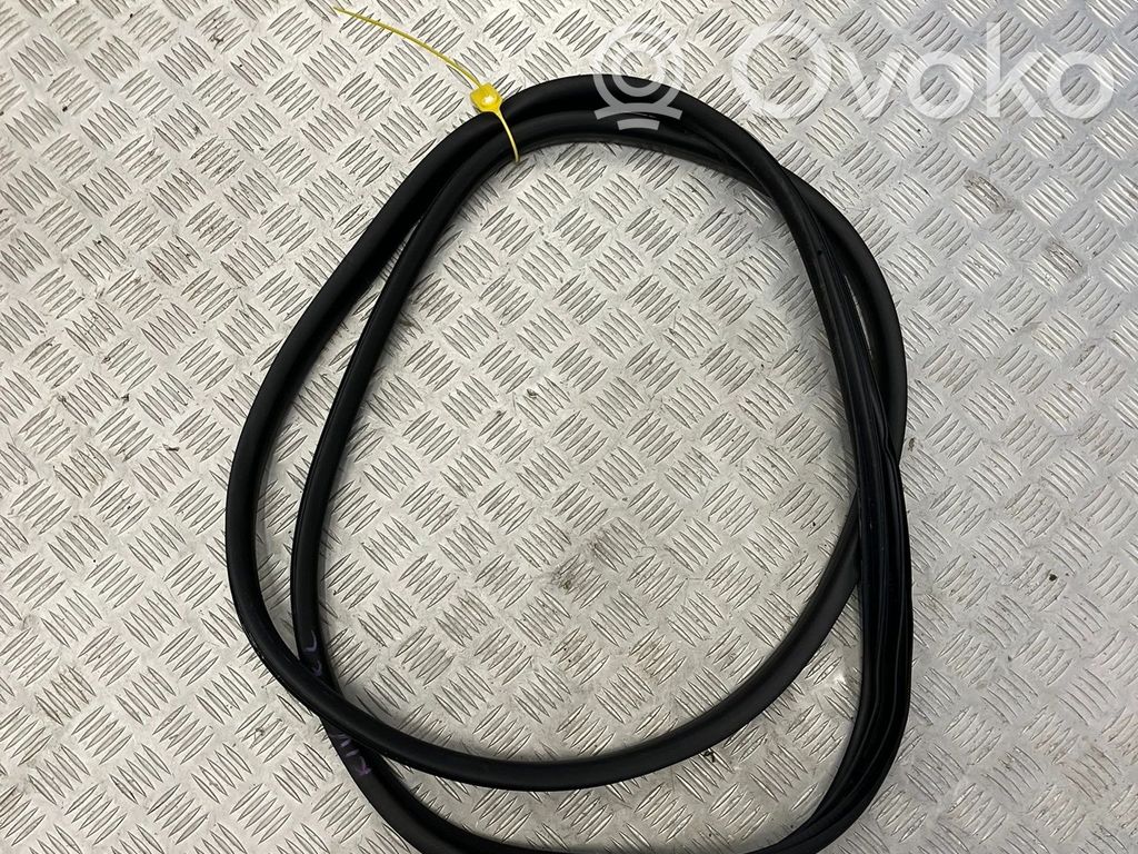 Renault Kangoo III Front door rubber seal 