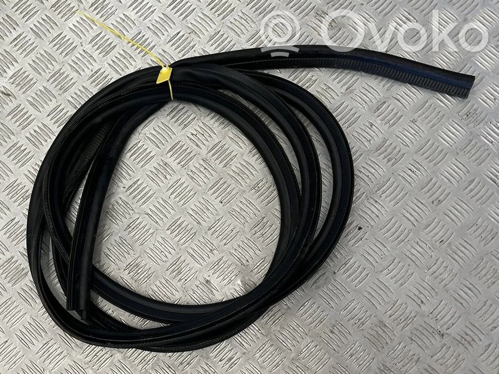 Renault Kangoo III Front door rubber seal 