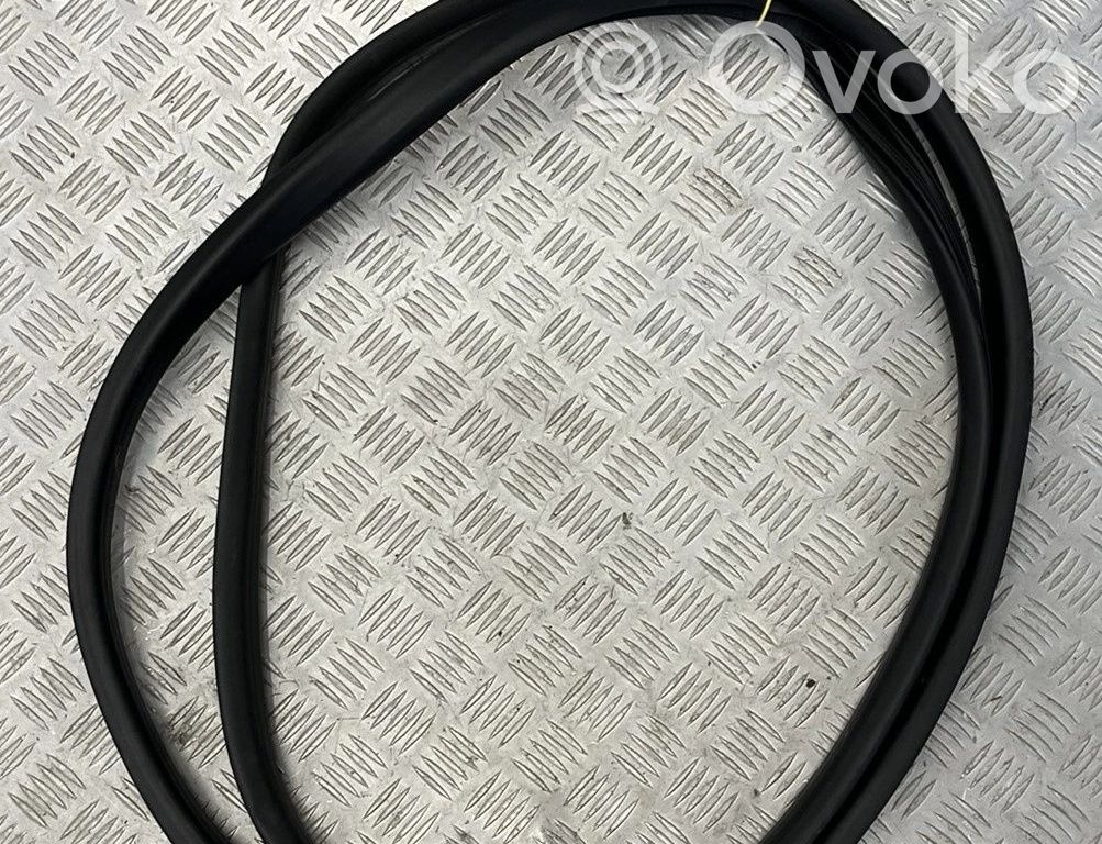 Renault Kangoo III Front door rubber seal 