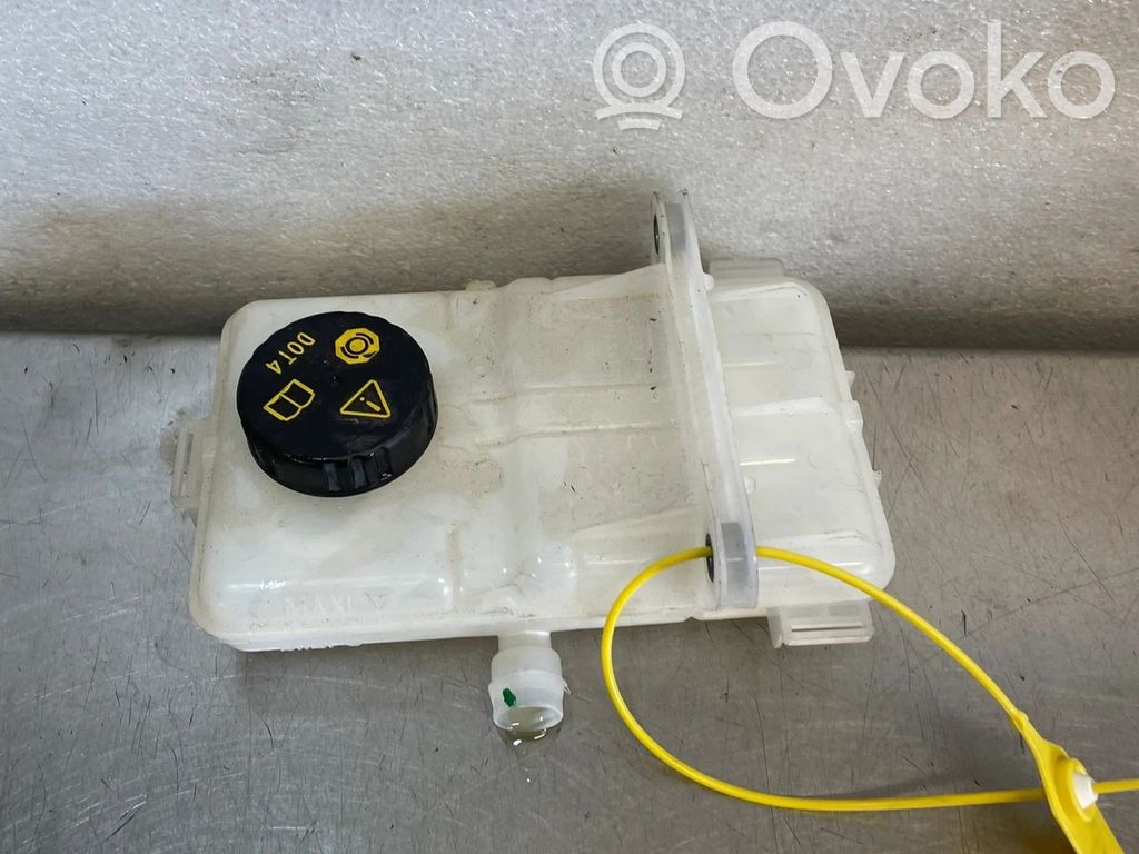 Renault Kangoo III Brake fluid reservoir 