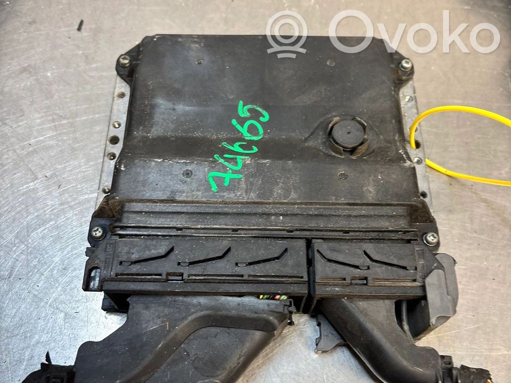 Engine control unit/module ECU   DOTOYOTAAURIS,DOTOYOTAAURIS,8966102D91