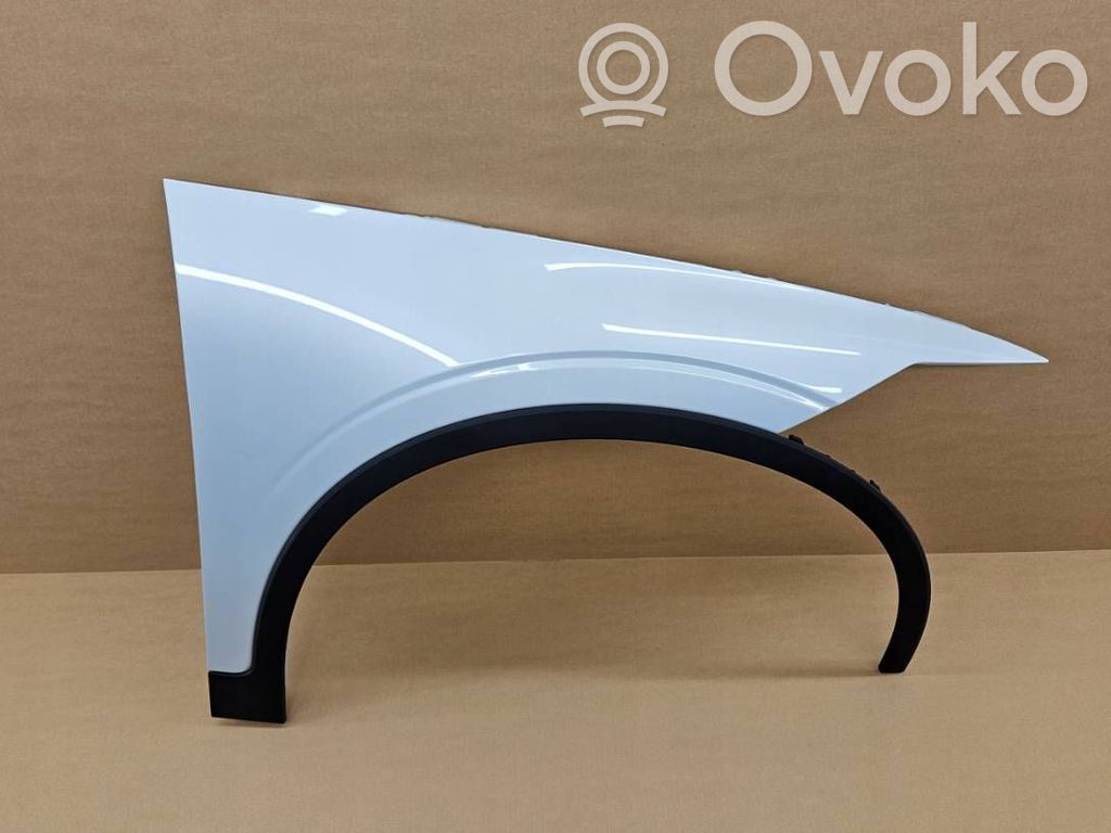 Polestar 2 Guardabarro 