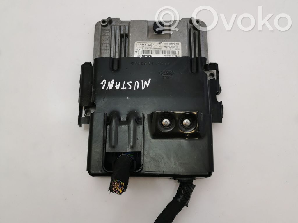Ford Mustang VI Sterownik / Moduł ECU 