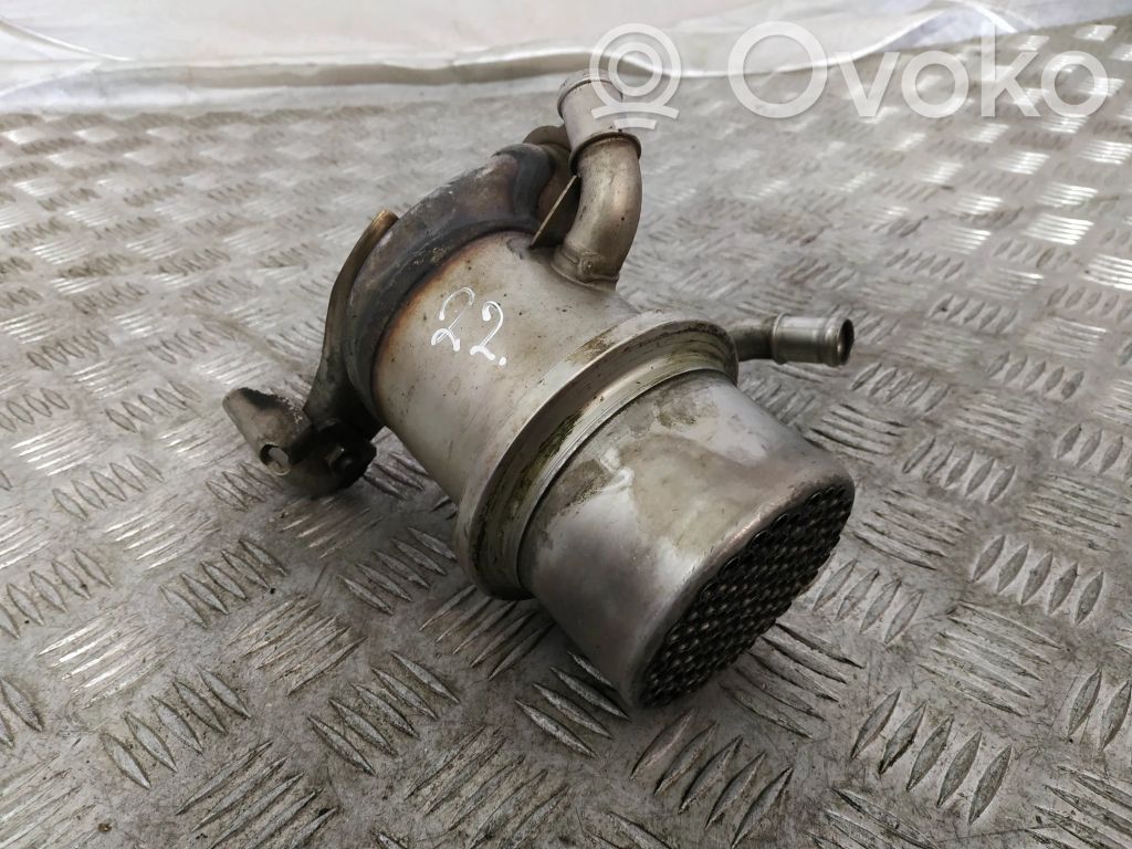 Volkswagen Golf VII Refrigerador de la válvula EGR 