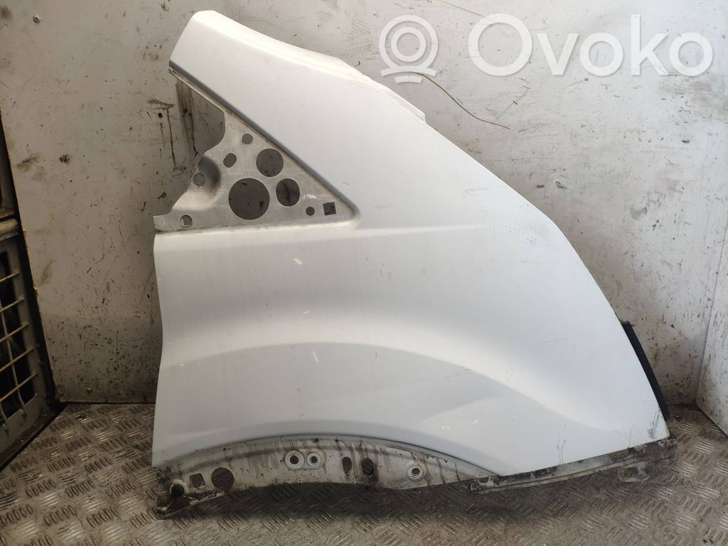 Ford Transit Guardabarro 