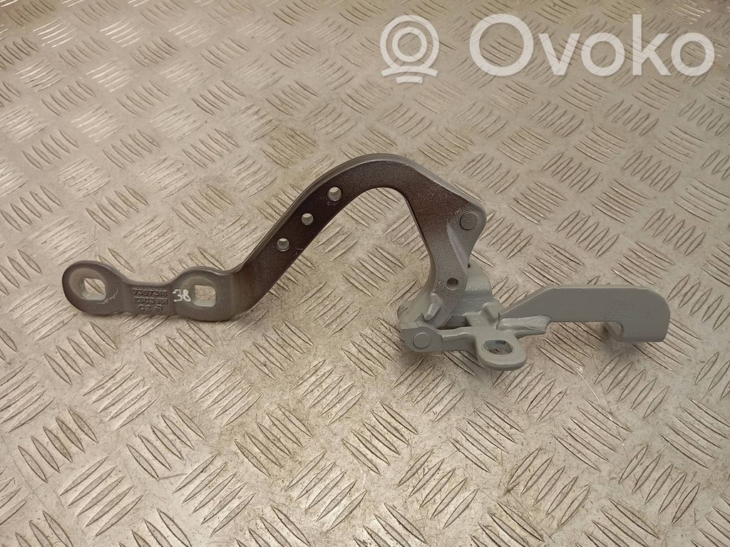 BMW X3 G01 Tailgate/trunk/boot hinge 