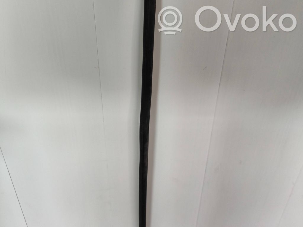 Engine hood trim   566746B,05076803
