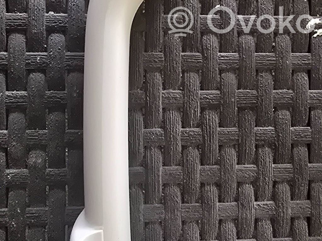 Asidero interior trasero   100013034