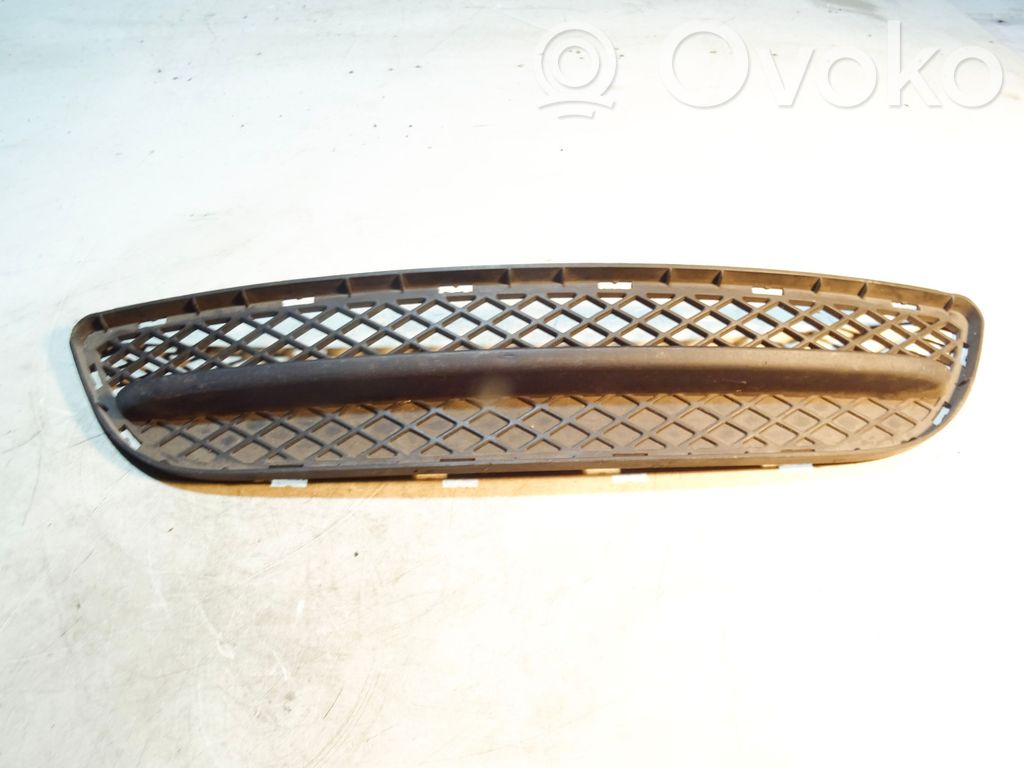 Front bumper lower grill   51117154555