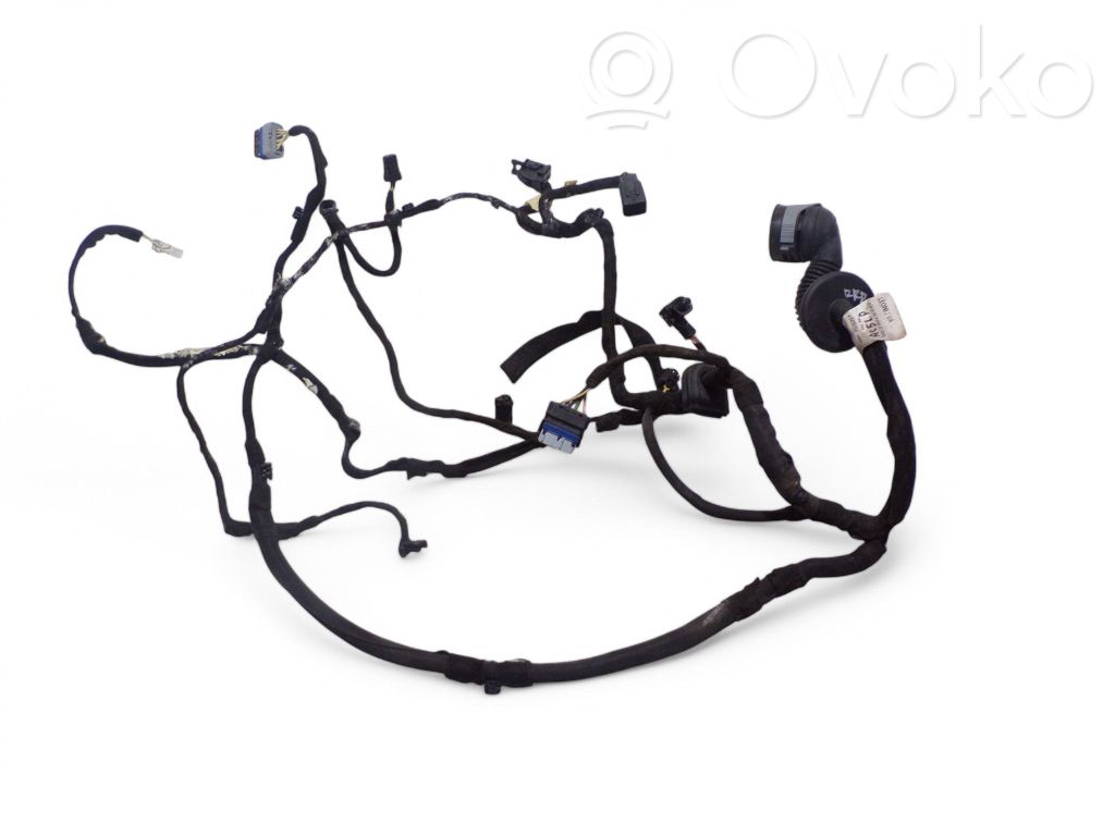 Citroen C5 Cableado de puerta delantera 