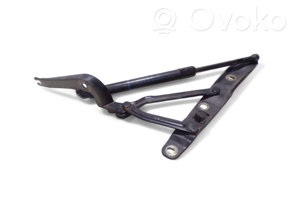 Tailgate/trunk/boot hinge   8222913,51248222913
