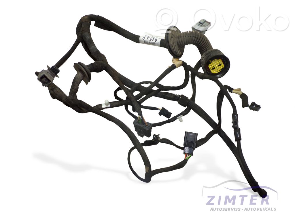Citroen C5 Arnés/cableado de puerta delantera 