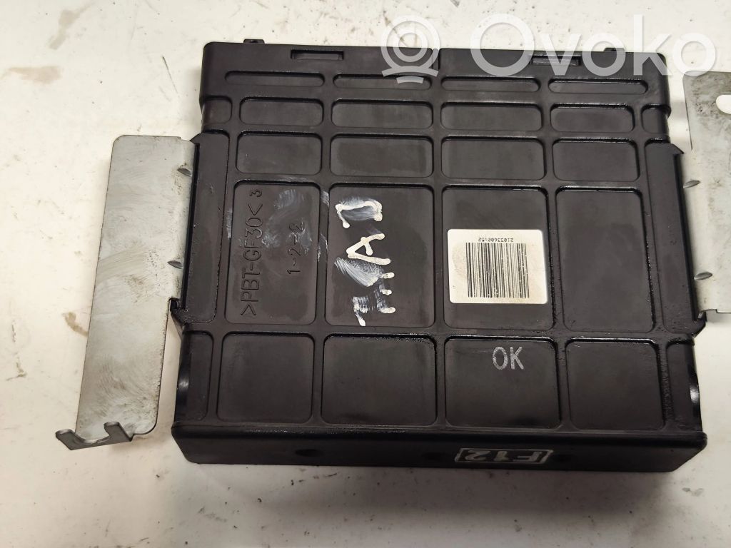 Hyundai Trajet Calculateur moteur ECU 