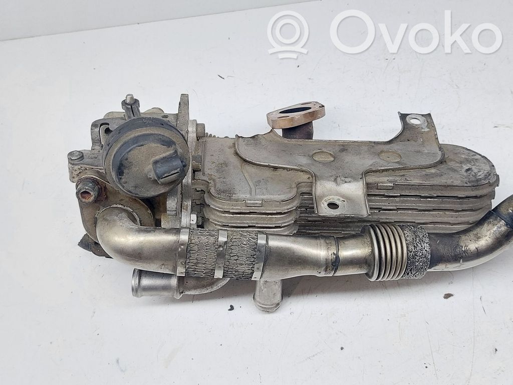 Volkswagen PASSAT B6 Chłodnica spalin EGR 