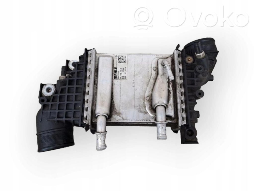 Volkswagen Transporter - Caravelle T6 Chłodnica powietrza doładowującego / Intercooler 