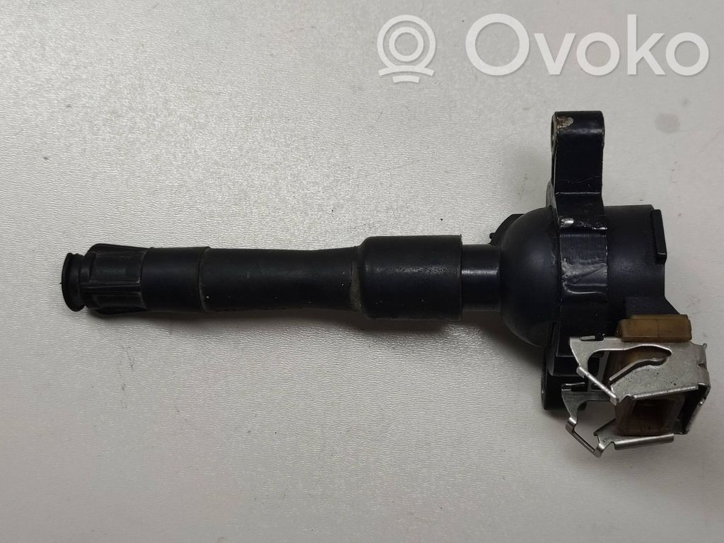 Zündspule Zündmodul   1748017,11860,0221504029,11860T,12131703227,12131703228,12131748017,12131748018,12137599219,12139067830,133804,1404309,1491600300,1703227,1703228,1703825,1748018,1970352,1970413,500960755,7599219,880045B,9067830,GCL307,NEC000020,NEC000040,NEC101000,NEC101000L,NEC101010,ZS302