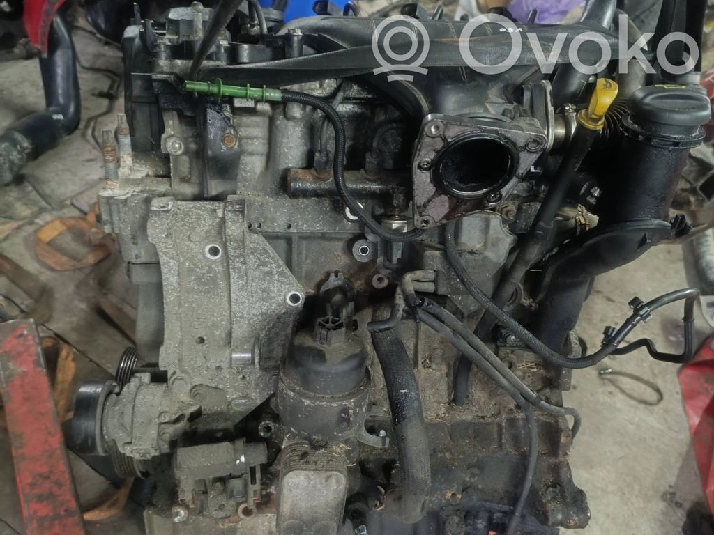 Ford Focus Variklis 