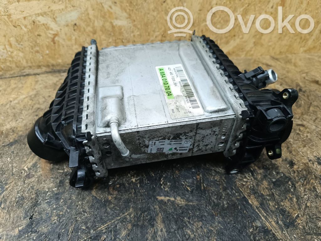 Mercedes-Benz E W213 Interkūlerio radiatorius 