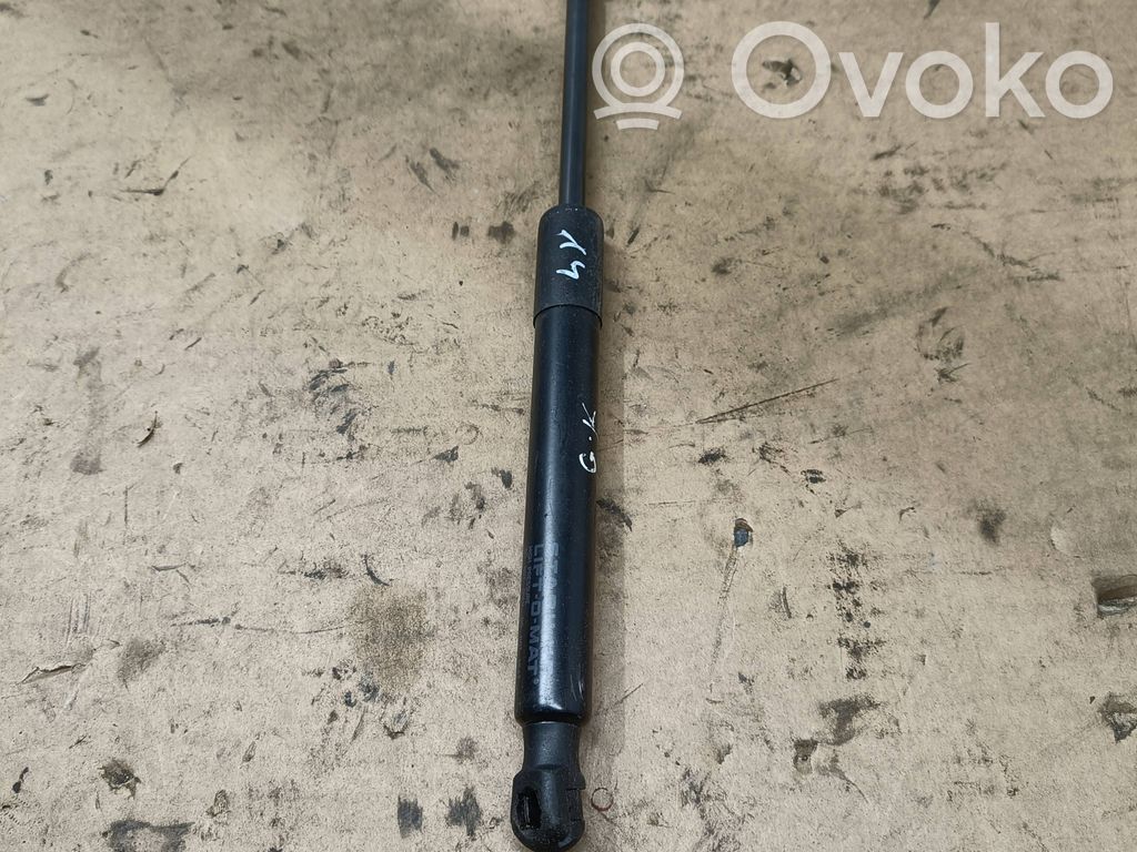 Tesla Model 3 Tailgate/trunk strut/damper 