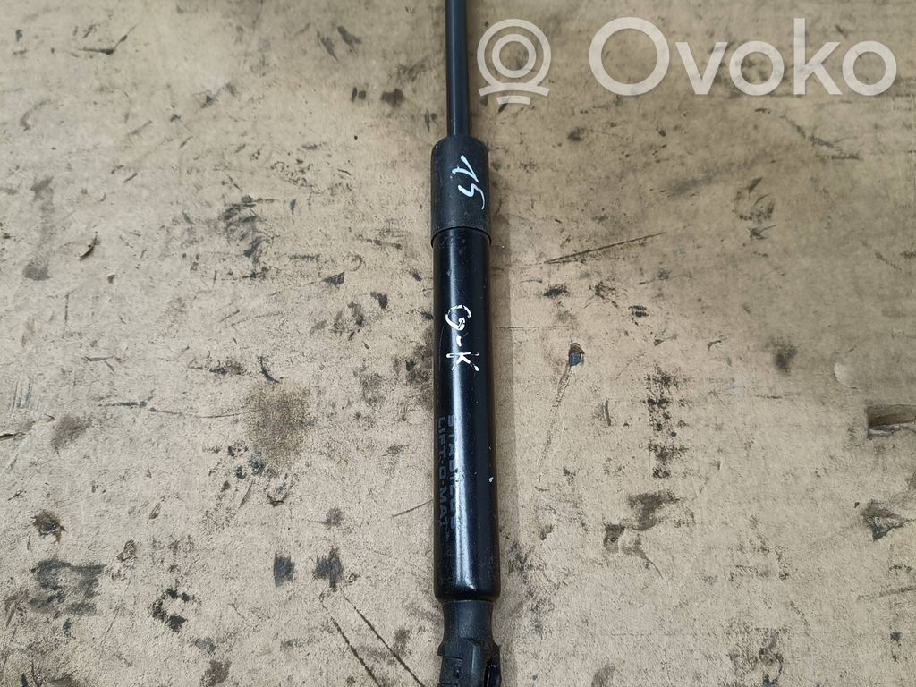 Tesla Model 3 Tailgate/trunk strut/damper 
