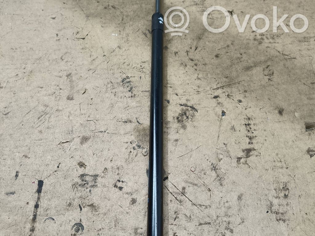 Tailgate/trunk strut/damper   95095594
