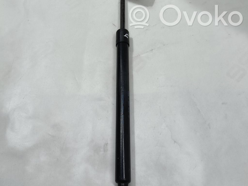 Tailgate/trunk strut/damper   7060623,01612390L