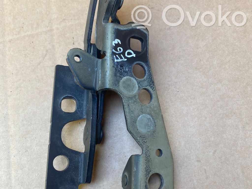 BMW M6 Engine bonnet/hood hinges 