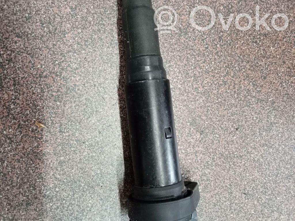High voltage ignition coil   E2019102143