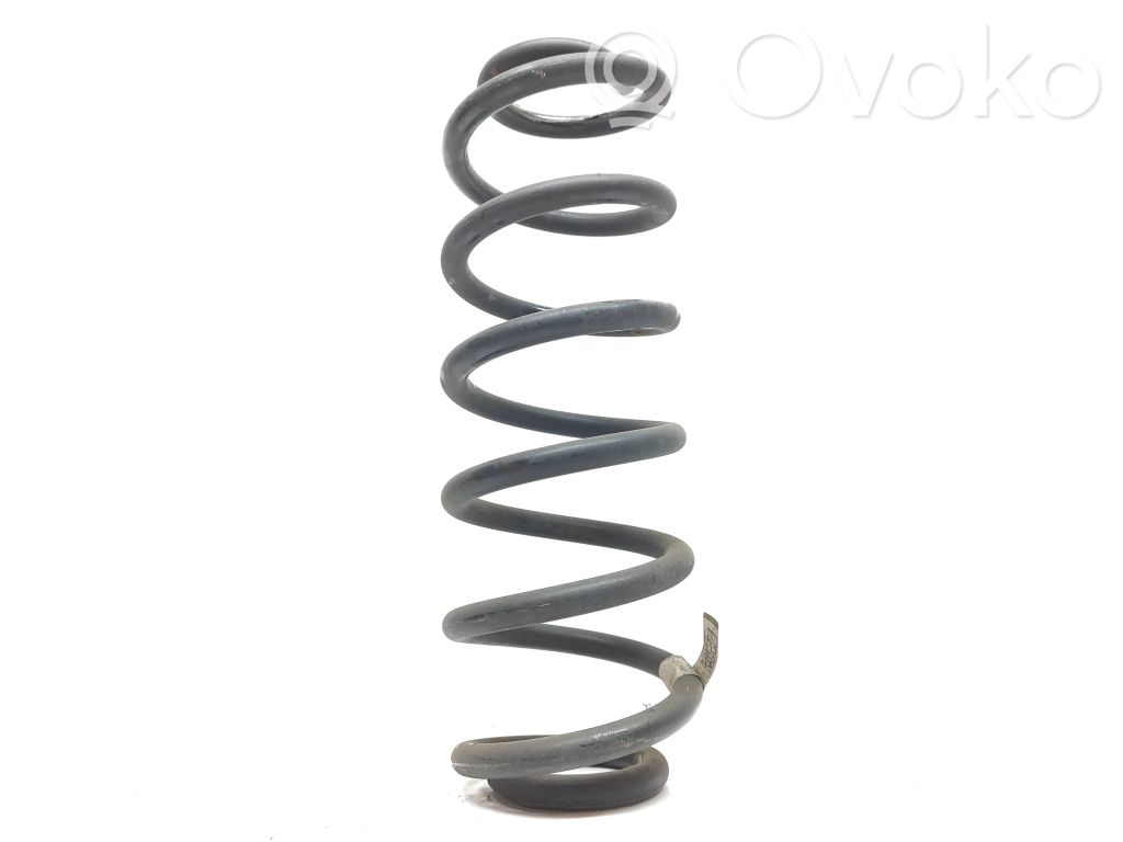 Volkswagen Tiguan Allspace Rear coil spring 