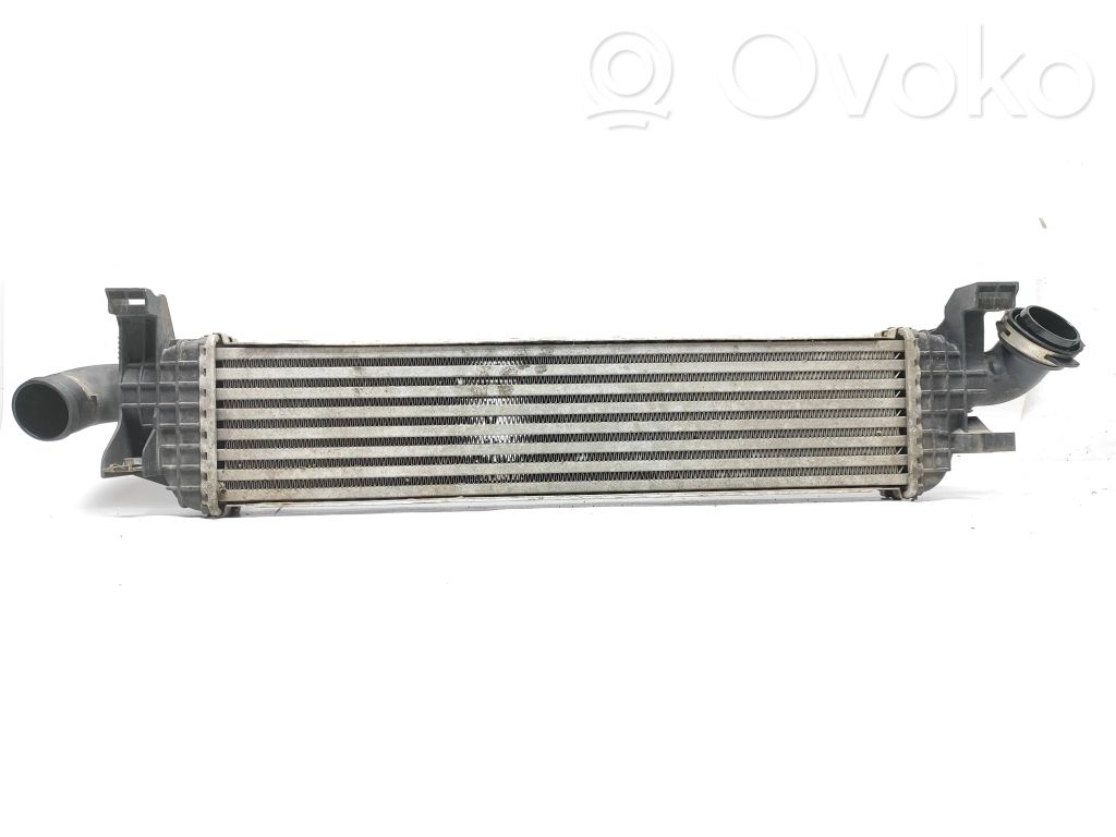 Intercooler radiator