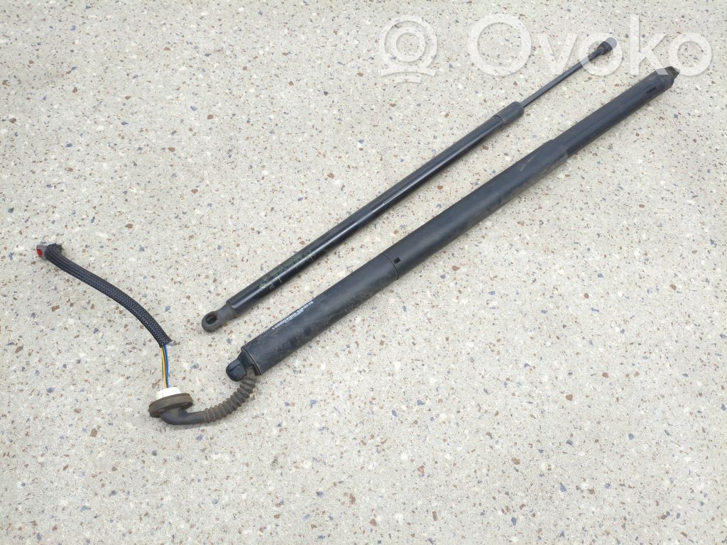 Chrysler Pacifica Tailgate/trunk strut/damper 